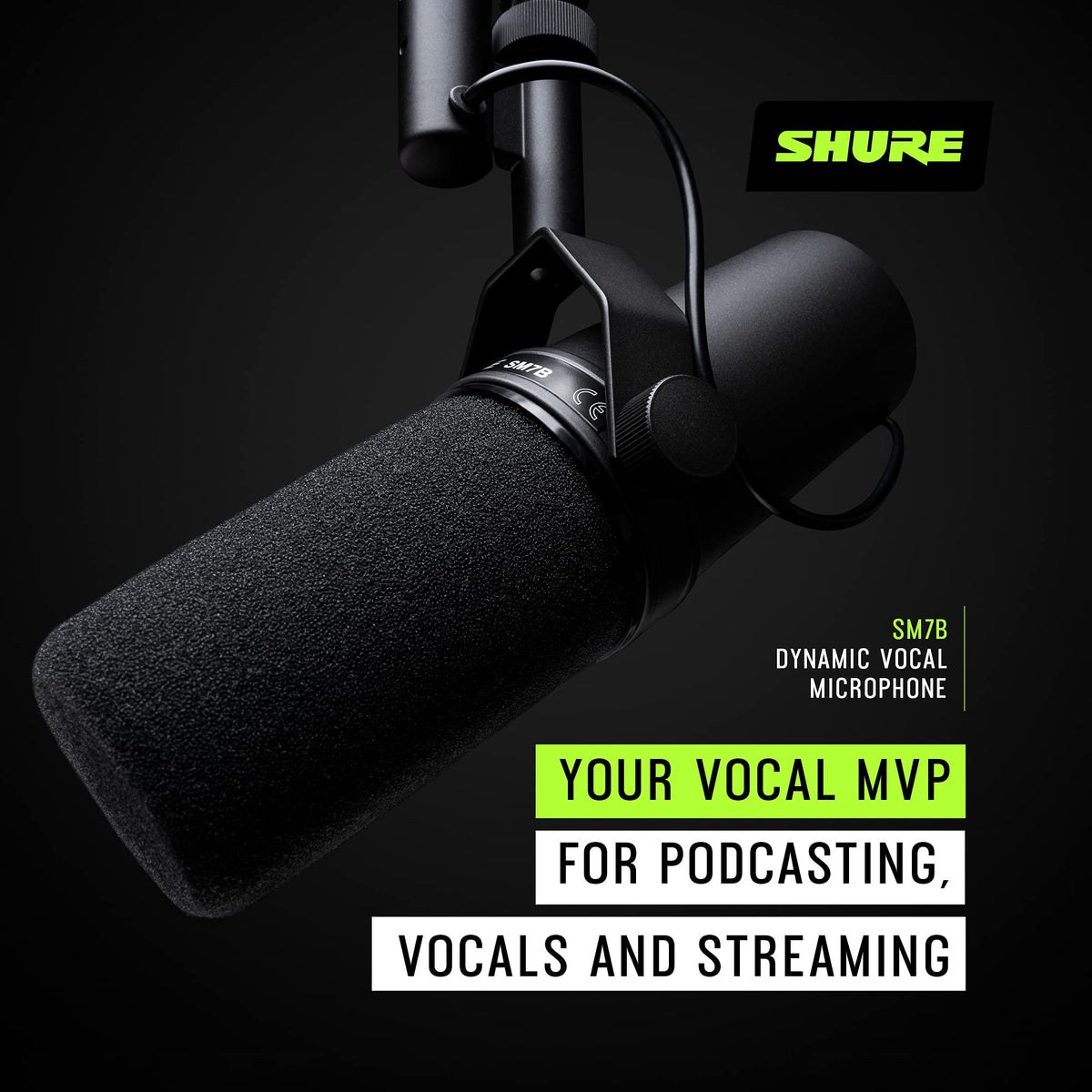 Broadcast-Style XLR Dynamic Microphone